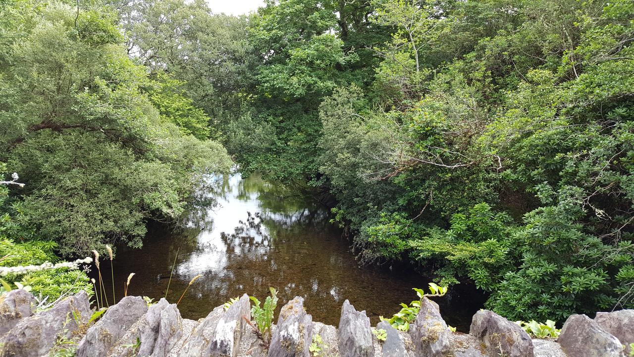 An Sibin B&B Kenmare Exteriör bild