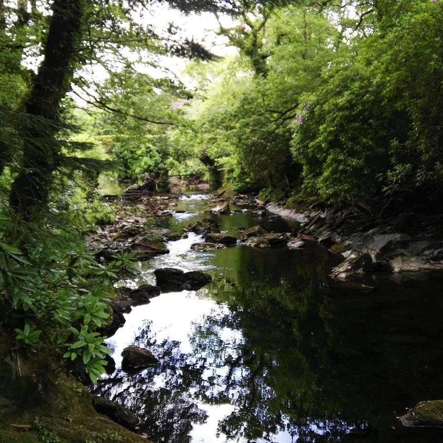 An Sibin B&B Kenmare Exteriör bild